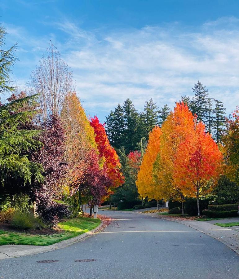 Lucy'S Elegant & Cozy House Daire Sammamish Dış mekan fotoğraf