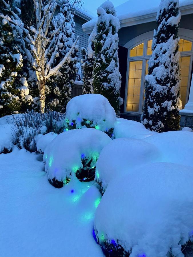 Lucy'S Elegant & Cozy House Daire Sammamish Dış mekan fotoğraf